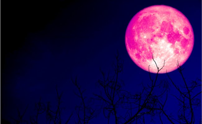 shutterstock_1371136730