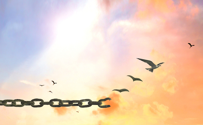 shutterstock_344859107