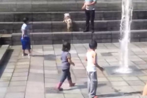 233f91b511bbf5f9e91a72c2d2ca9197