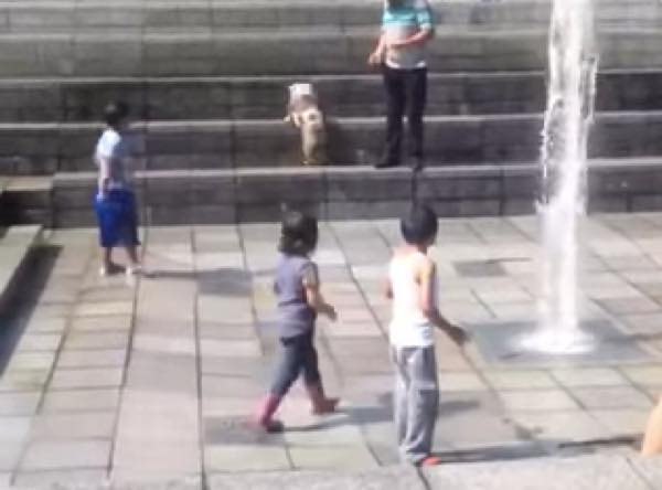 233f91b511bbf5f9e91a72c2d2ca9197