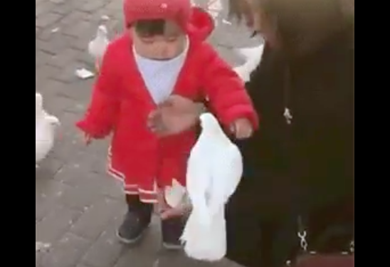 スクリーンショット 2019-07-03 18.00.04