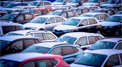 shutterstock_1031711590