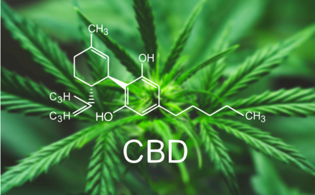 shutterstock_1048262770