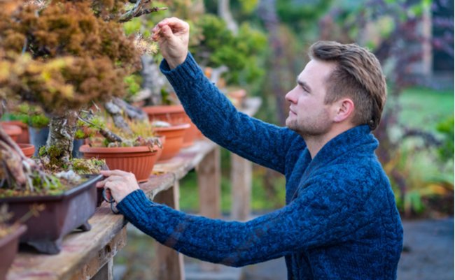 shutterstock_1270823263