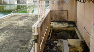 shutterstock_1355221451