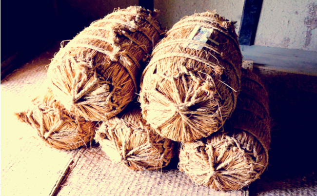 shutterstock_1358216174 (1)