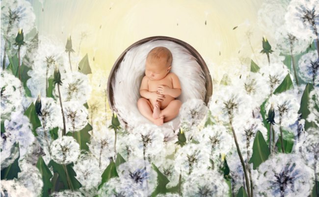 shutterstock_1384789562