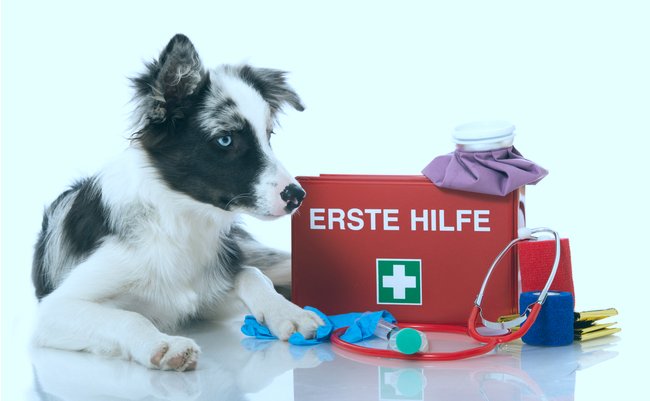 shutterstock_231900808