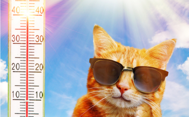 shutterstock_465819980