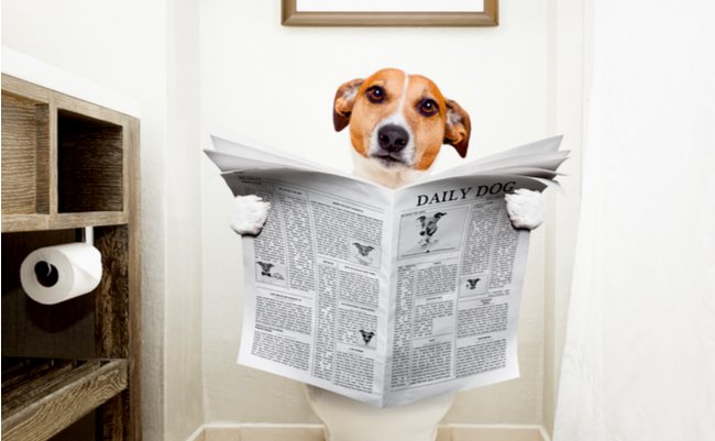 shutterstock_485964631