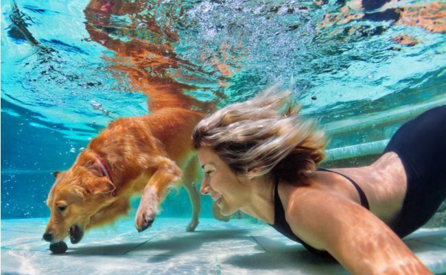 shutterstock_540061894