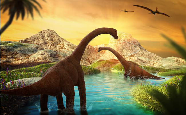 shutterstock_656407096