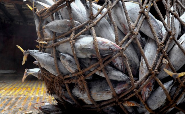 shutterstock_698894422