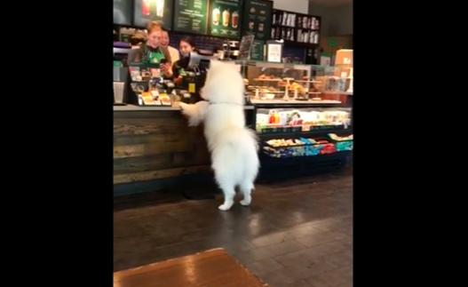 4da2b197a7417b8ca663b6498c0bb7f0