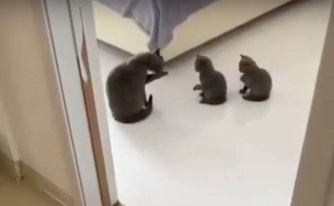 スクリーンショット 2019-08-09 17.45.43