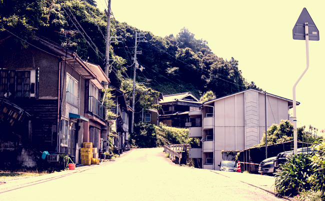 shutterstock_1141744607