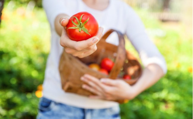 shutterstock_1365658898