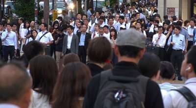 shutterstock_1436143442