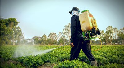 shutterstock_378322951