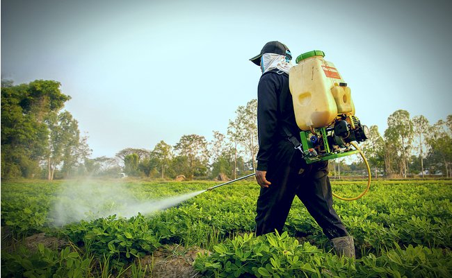 shutterstock_378322951