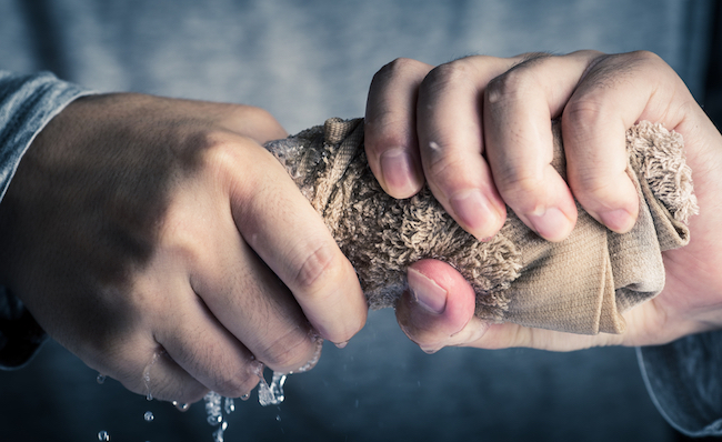 shutterstock_491046163