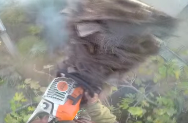 66cdbca2f22bd6c1e02d18b7ba33afeb-1