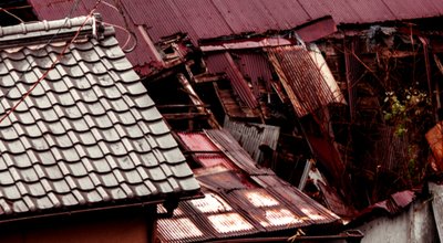 shutterstock_1333904612