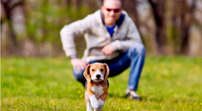 shutterstock_135867833