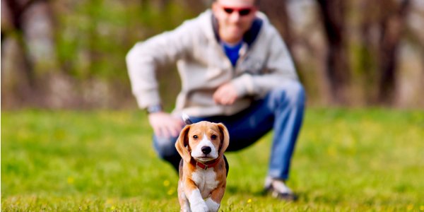 shutterstock_135867833