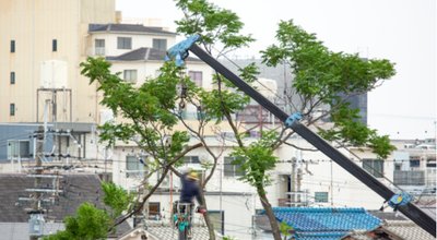 shutterstock_1432329269