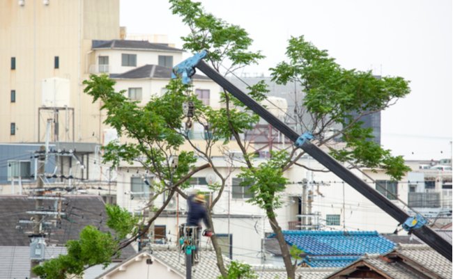 進まぬ復旧。停電被害に苦しむ千葉に大混乱を招いた政治家の実名 進まぬ復旧。停電被害に苦しむ千葉に大混乱を招いた政治家の実名