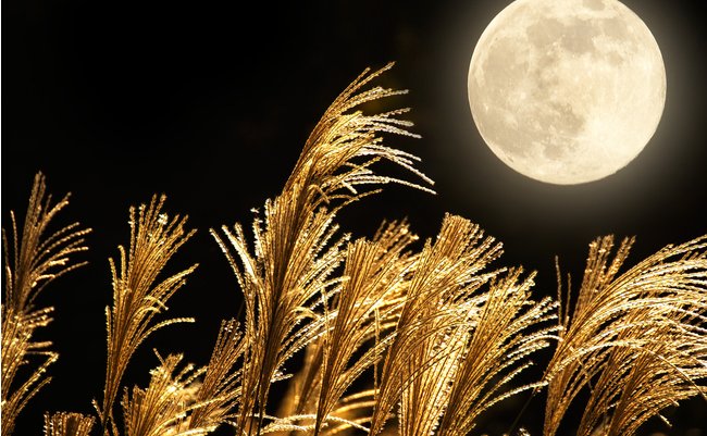 shutterstock_301570046