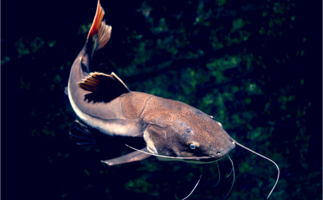 shutterstock_764165098