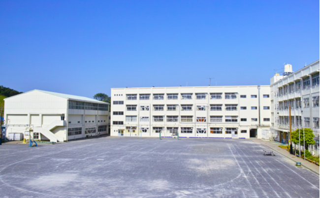 shutterstock_1079409497