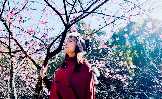 shutterstock_1096102910