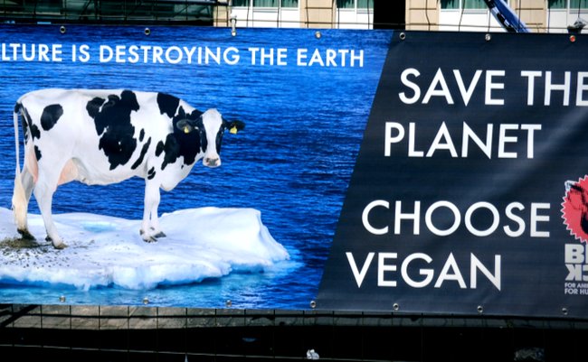 shutterstock_1406412380