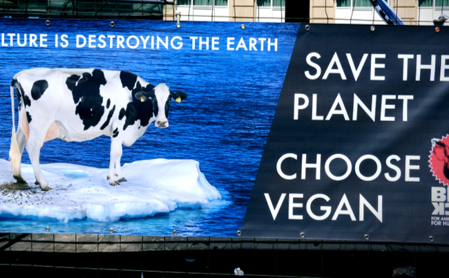 shutterstock_1406412380