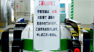 shutterstock_1503905177