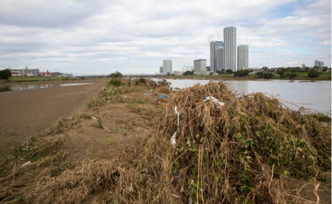 shutterstock_1531763324