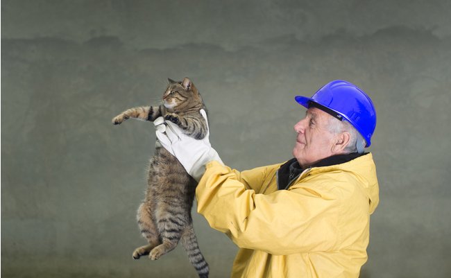 shutterstock_341866535