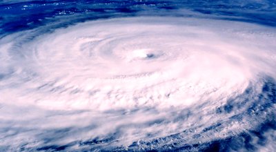 shutterstock_651338326