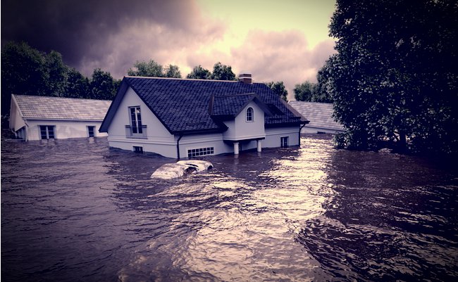 shutterstock_709918504