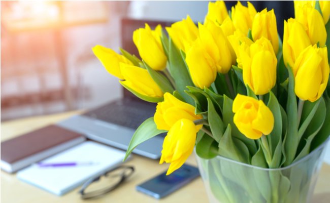 shutterstock_1086013757