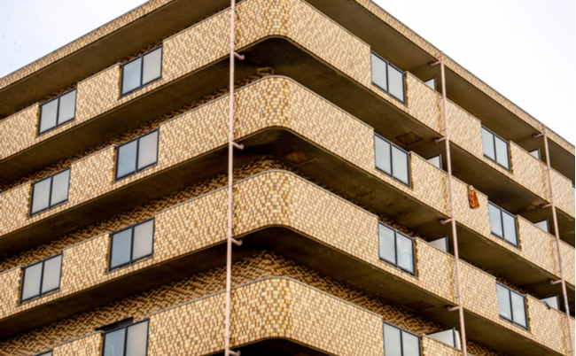 shutterstock_1352027732