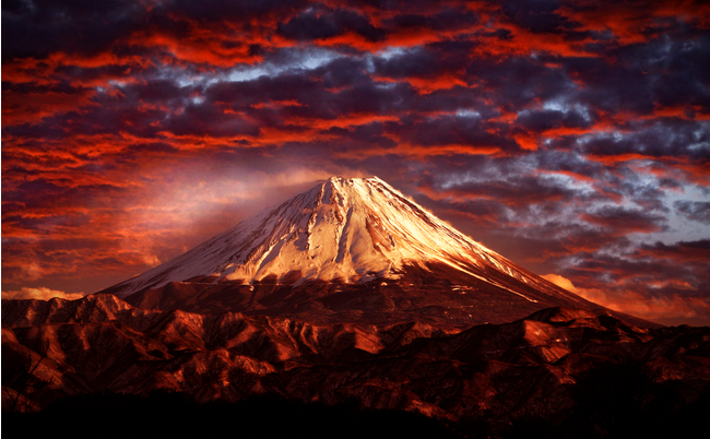 shutterstock_1515507275