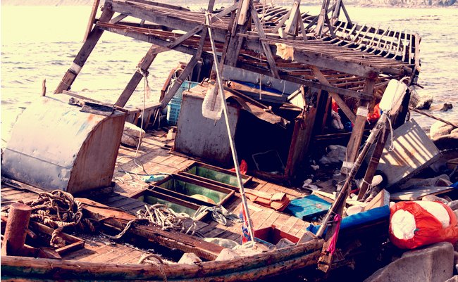 shutterstock_1521149690