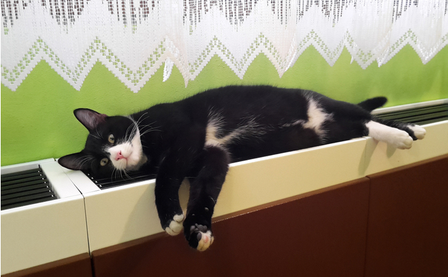 shutterstock_1554099950