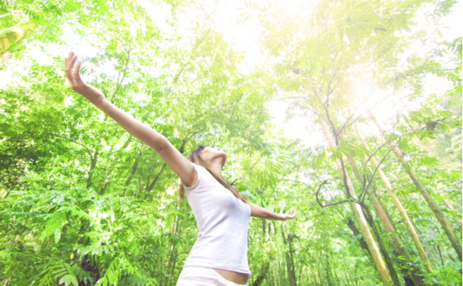 shutterstock_48634264