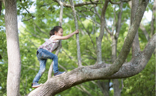 shutterstock_634574114