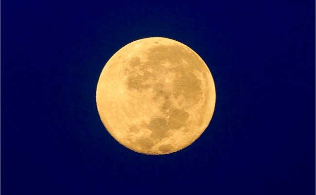 shutterstock_1144262297